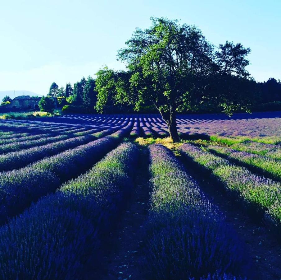 Entre Ventoux Et Luberon Chambre D'Hote 萨路特德沃克吕兹 外观 照片