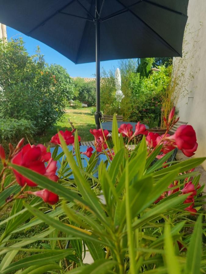 Entre Ventoux Et Luberon Chambre D'Hote 萨路特德沃克吕兹 外观 照片