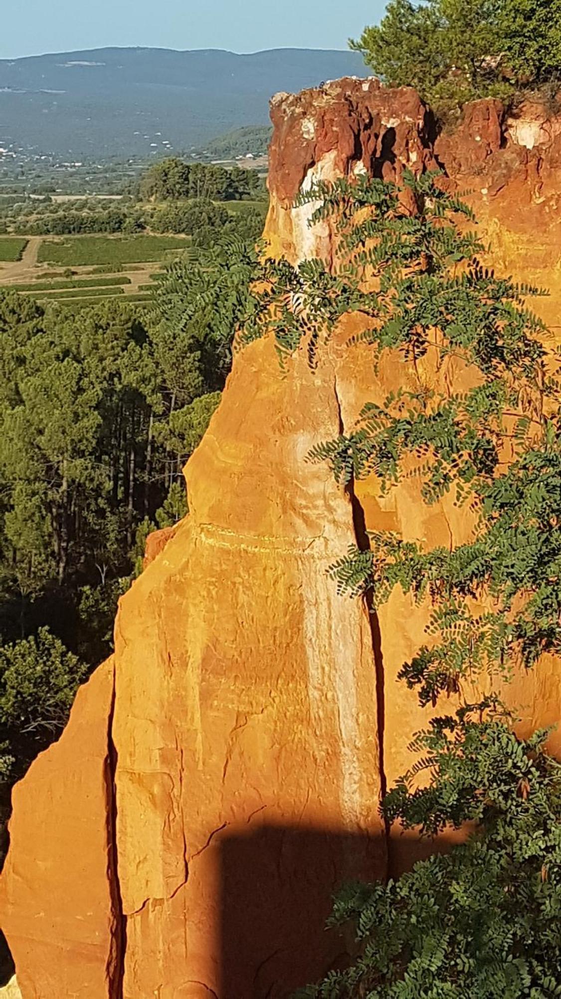 Entre Ventoux Et Luberon Chambre D'Hote 萨路特德沃克吕兹 外观 照片