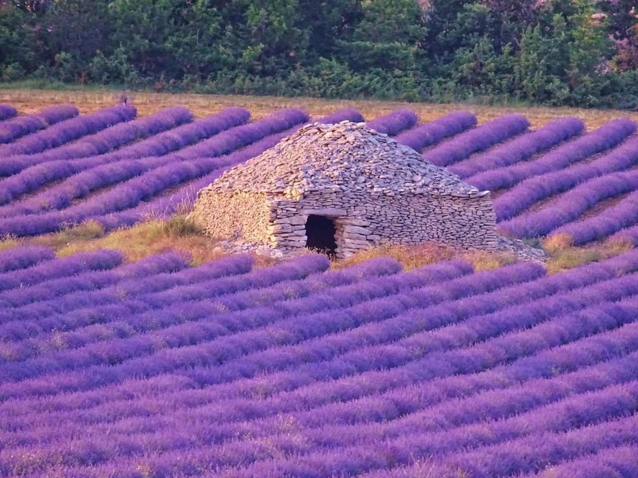 Entre Ventoux Et Luberon Chambre D'Hote 萨路特德沃克吕兹 外观 照片
